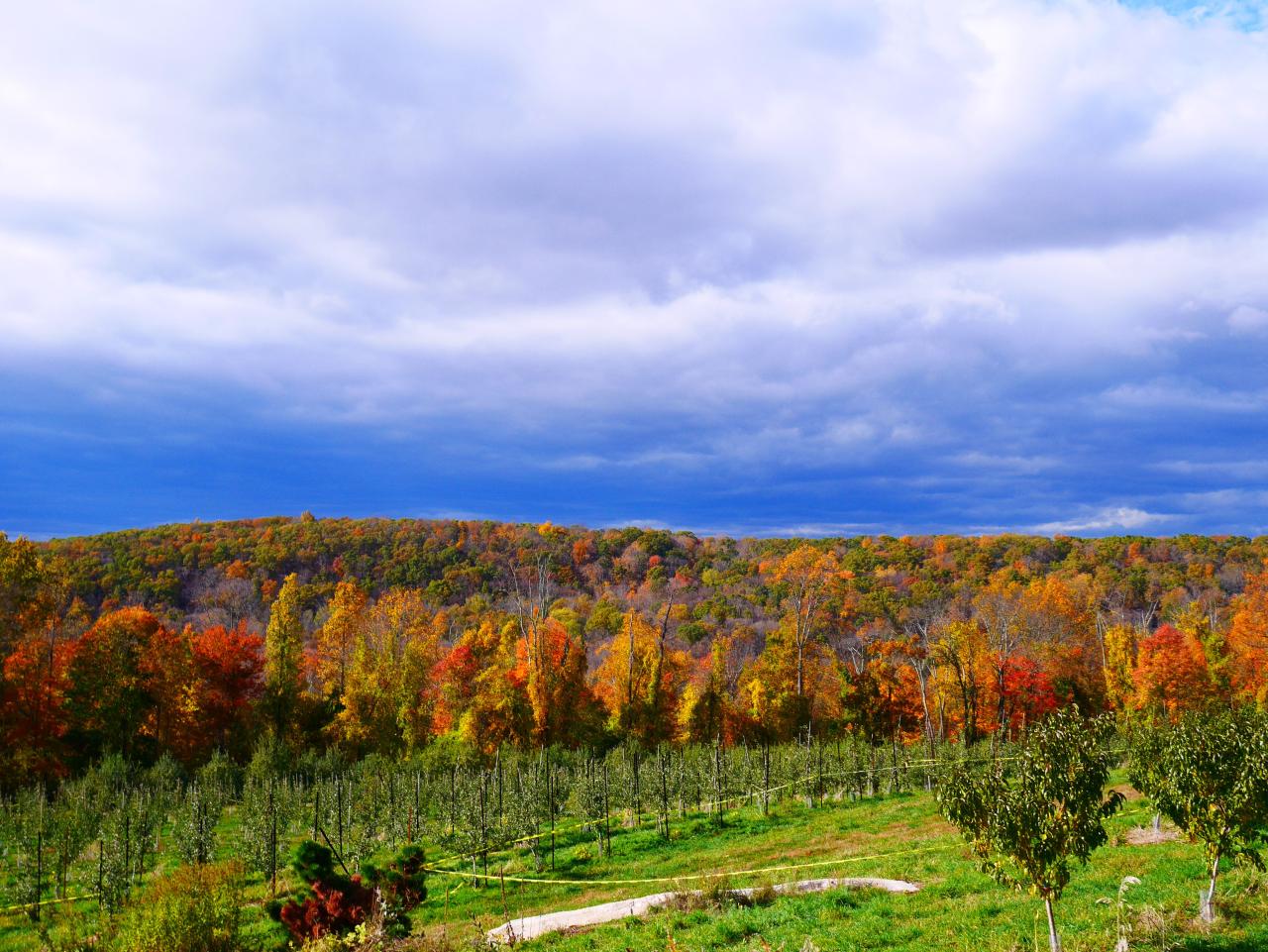 How to Enjoy Every Moment at Harvest Moon Orchard This Year