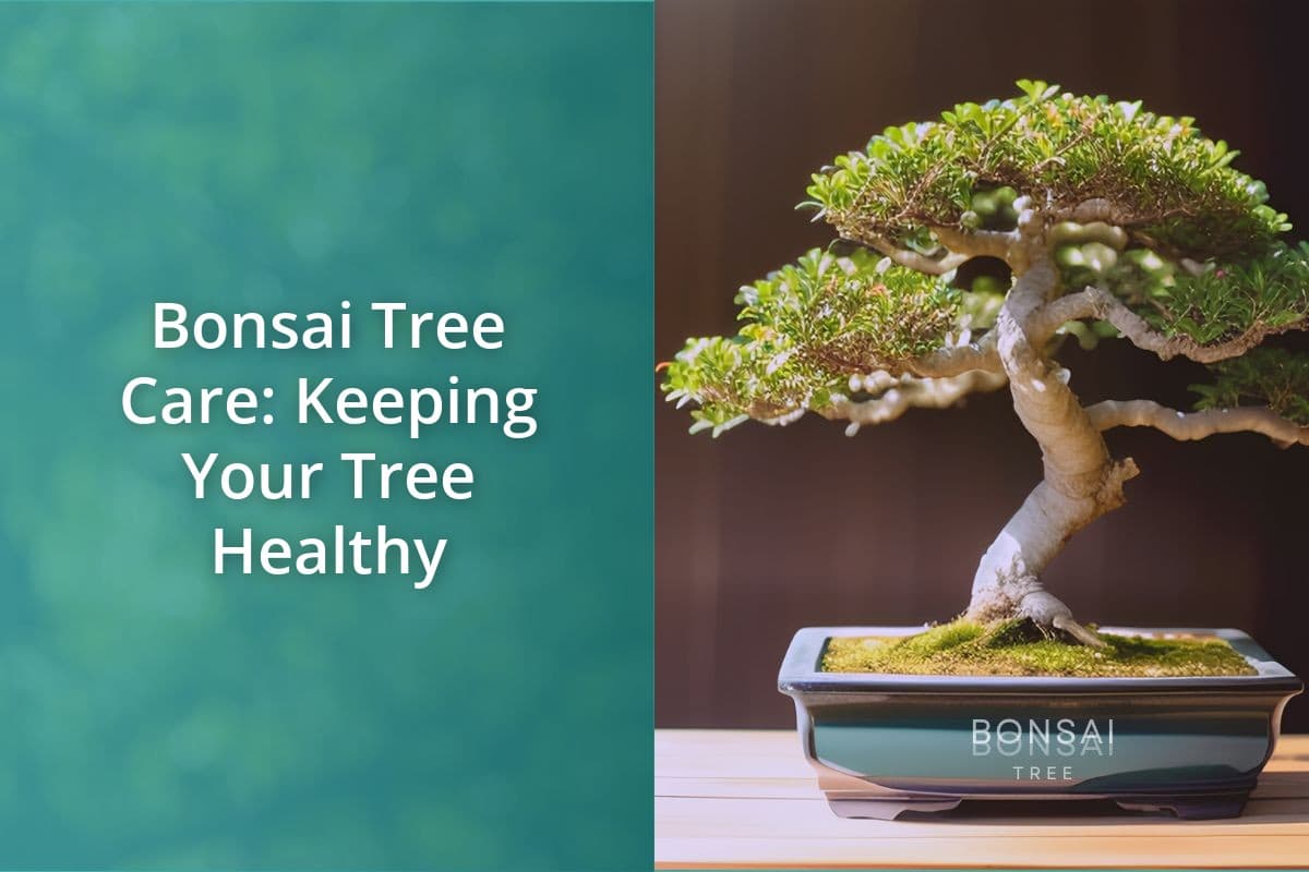 Top Tips for Keeping Your Bonsai Tree Healthy