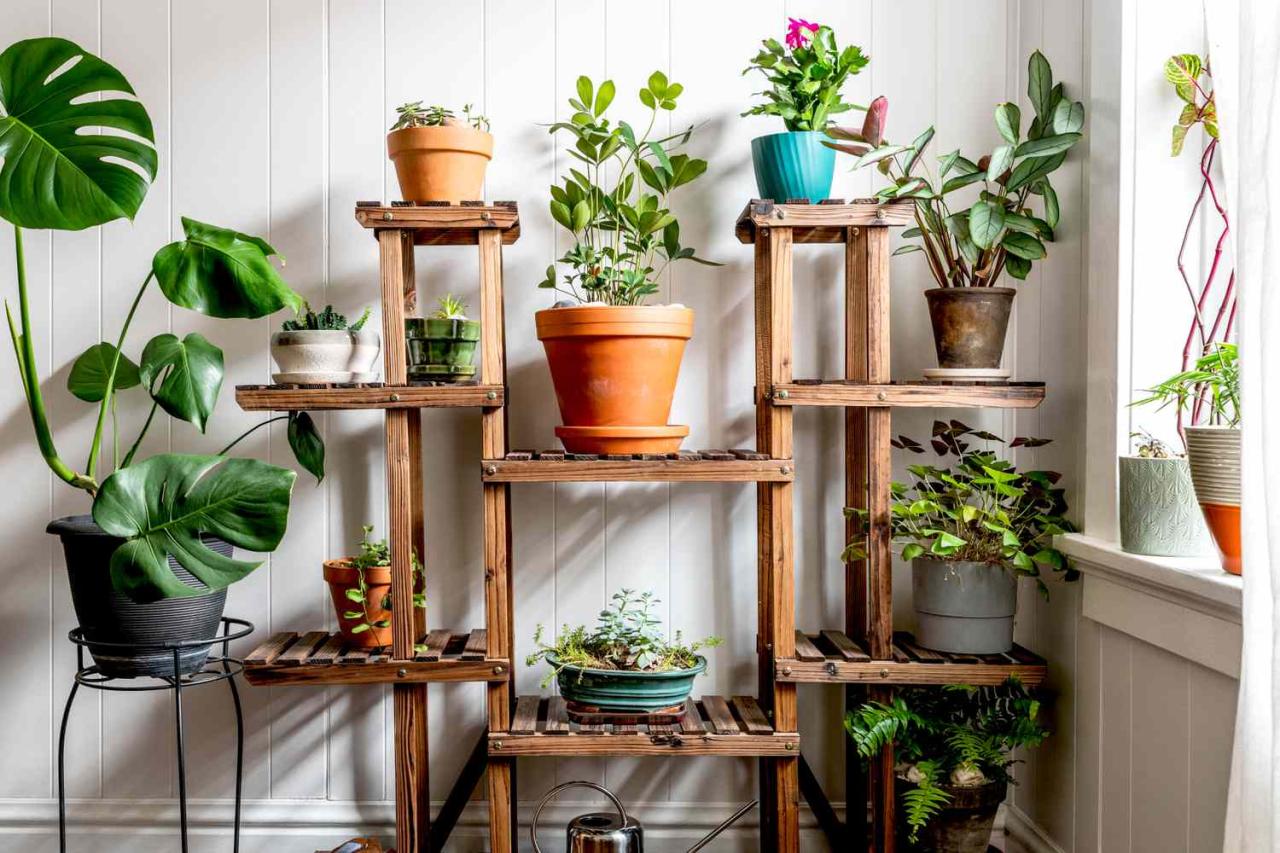 How to Create a Beginner-Friendly Indoor Garden