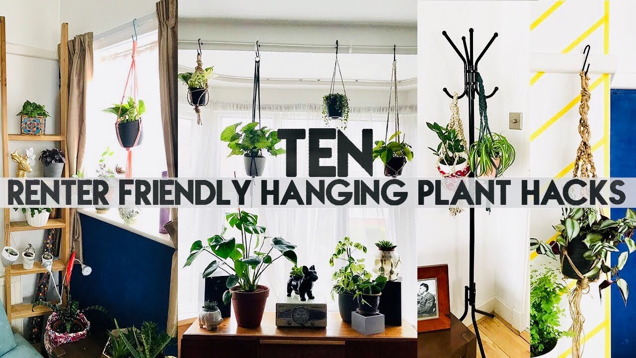 How to Repot Hanging Plants Without Making a Mess